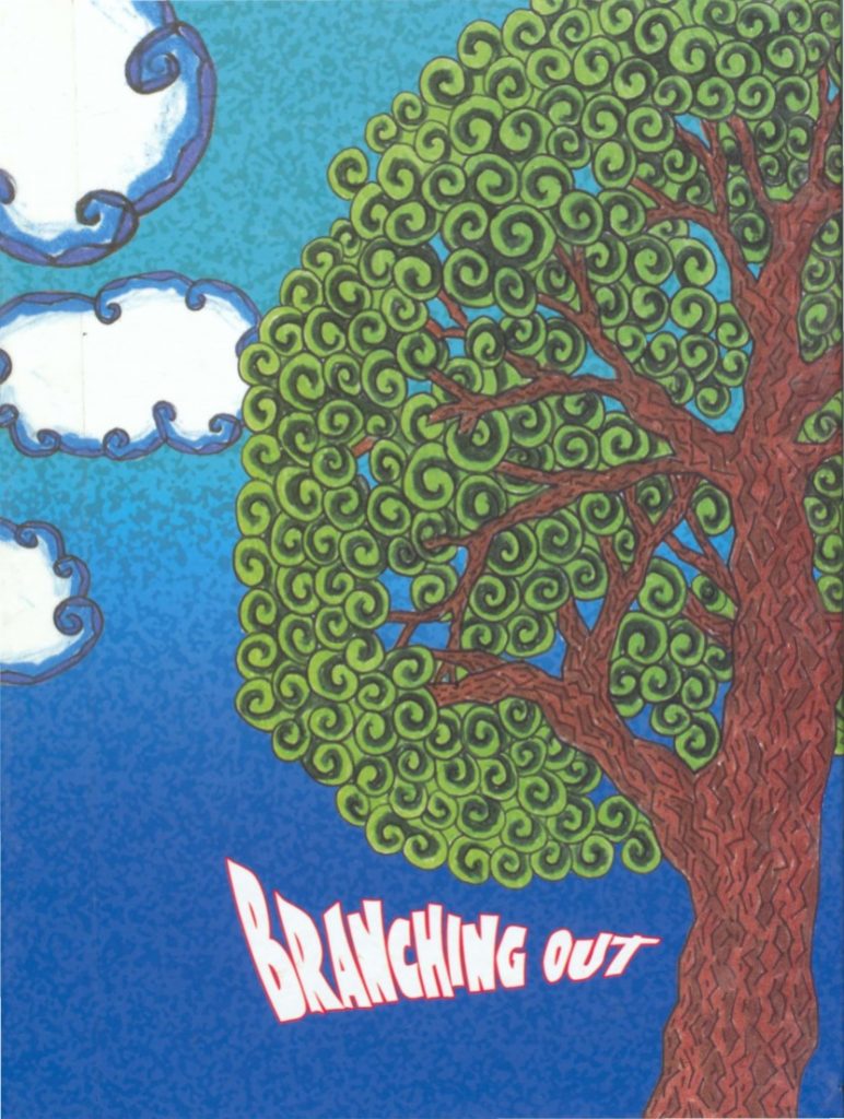 Hornell New York High School Yearbooks